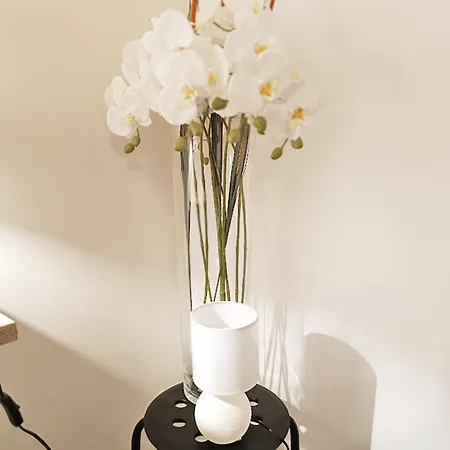 Apartment Sylvie8, T2, Centre Luchon, Jardin, 4 Personnes