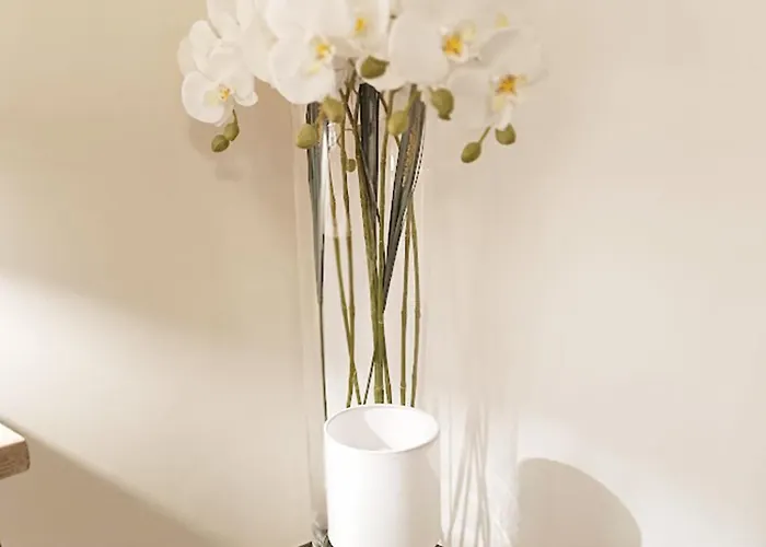 דירה Sylvie8, T2, Centre Luchon, Jardin, 4 Personnes